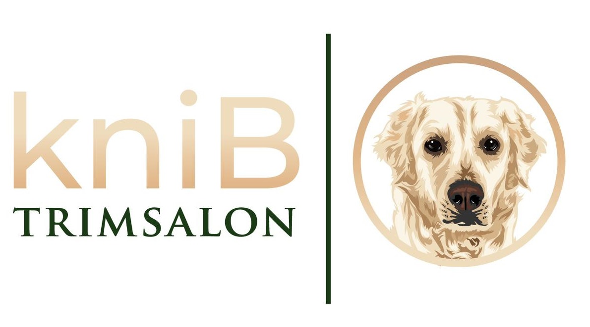 Trimsalon kniB Logo